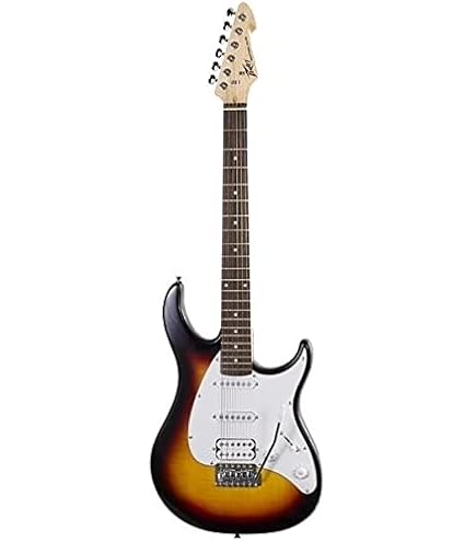 Amazon.com: Peavey Raptor Plus Sunburst Electric Guitar : Musical