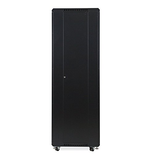 42U LINIER Server Cabinet - Solid/Solid Doors - 24" Depth