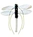 Neko Flies Kragonfly Interchangeable Cat Toy, Attachment Only
