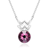 Amethyst Birthstone Pendant Necklace, Aquarius