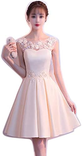 Women's casual dresses Fashion Bodycon Sleeveless Embroidery Flowers Short  Evening Dress Women's womens dress (Color : Champagne, Size : L) price in  UAE | Amazon UAE | kanbkam