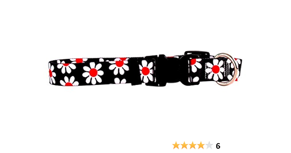 yellow daisy dog collar