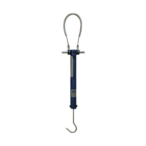 Pack-Scale-20-100-lb-range