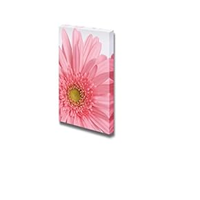 Canvas Prints Wall Art - Pink Blooming Carnation Flower on a White Background | Modern Wall Decor/Home Decoration Stretched Gallery Canvas Wrap Giclee Print. Ready to Hang - 18" x 12"