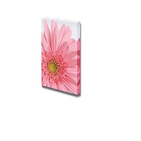 Pink Blooming Carnation Flower on a White Background Wall Decor
