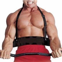 Ader Fitness Arm Blaster by Ader