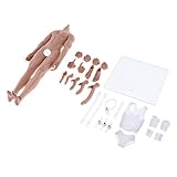 Fenteer 1/6 Scale Super Flexible Muscular Male Body Figure Assembly - Steel Skeleton - Wheat Skin