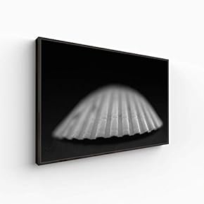 Canvas Wall Art for Living Room, Bedroom Animal Portrait Framed Canvas Prints for Home Decoration Ready to Hang - 16x24 inches