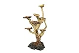 Bonsai Driftwood Aquarium Tree AWM Random Pick