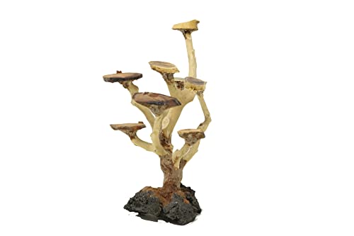 Bonsai Driftwood Aquarium Tree AWM Random Pick
