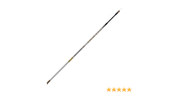 Amazon Com Gold Tip Airstrike Hunting Arrows 2 Vanes 250 Spine 6 Pack Sports Outdoors