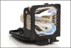 Replacement projector lamp for Toshiba TLP-LX10