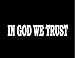 CMI NI173 in God We Trust | Tea Party Second Amendment | 8.5x1.5 Inch | Premium Quality Decal Sticker Christian