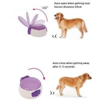 timed dog feeding bowl