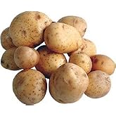 Potato Yukon Gold