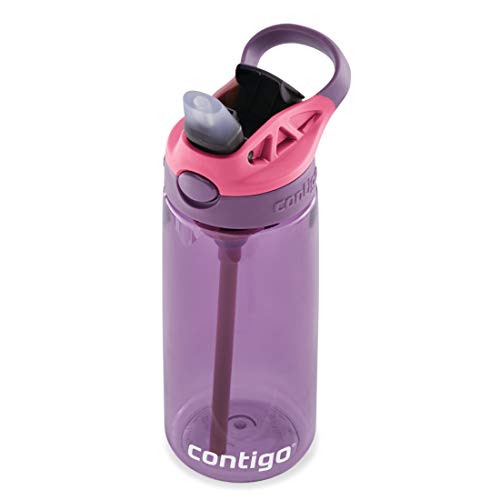 Contigo Aubrey Kids Cleanable Water Bottle with Silicone Straw and