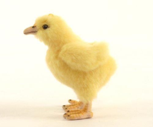 Chick Plush Toy