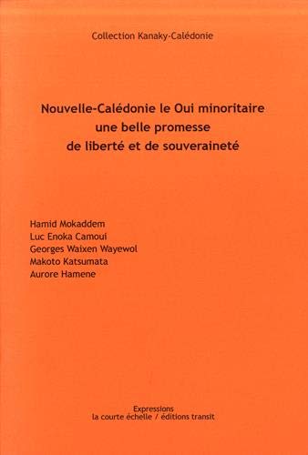 Nouvelle Caledonie Le Oui Minoritaire Une Belle Promesse De Liberte Et De Souverainete Amazon Co Uk Collectif Books