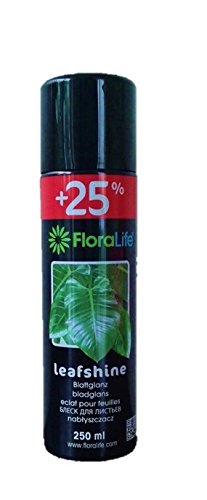 Floralife Leafshine Shines and protects plant foliage (Pack of 1), 250ml