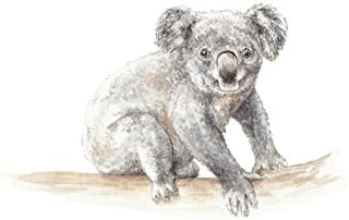 Limited Edition Koala 8.5x11 Watercolor
