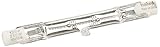 Pentair 78881100 Halogen Lamp Replacement AquaLumin Pool and Spa Light, 250-Watt, 120-Volt