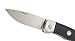 CRKT Ruger Accurate Folding Pocket Knife: Folder with Liner Lock, Plain Edge Blade with Nail Nick and Satin Finish, Woven Nylon Belt Sheath R2203