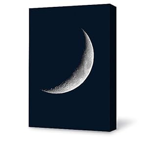 Canvas Wall Art for Living Room,Bedroom Home Artwork Paintings Beautiful Moonlight Ready to Hang - 12x18 inches