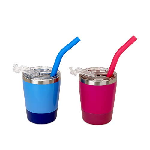 Buy Colorful Straw Cups with Lids, Pack of 2, K Kichuzl Dual Colors