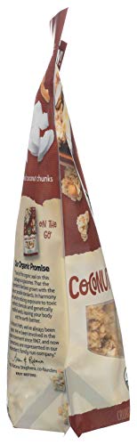 NATURE’S PATH ORGANIC COCONUT & CASHEW BUTTER GRANOLA, 11 OZ (PACK OF 1), GLUTEN FREE, NON-GMO