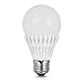Feit Electric BPAG500DM/5K/LED A19 LED 40 watt equivalent daylight