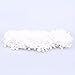 Yalulu 10Yards Pom Pom Trim Ball Fringe Ribbon DIY Sewing Accessory Lace for Home Party Decoration (White)