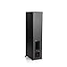 Klipsch R-610F Floorstanding Speakerthumb 2