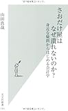 さおだけ屋はなぜ潰れないのか? 身近な疑問からはじめる会計学 (光文社新書)