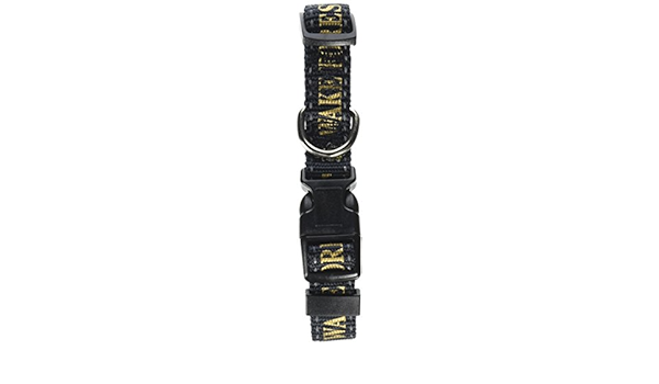 wake forest dog collar