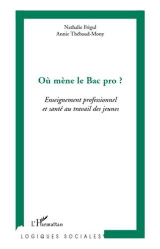 Où mène le Bac pro ?
