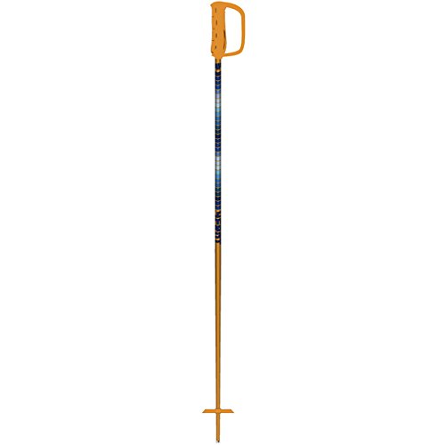 4frnt ski poles