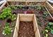Outdoor Living Today Raised Garden Bed 8 x 12 with Deer Fence Kitthumb 4