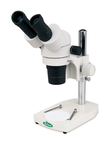 VanGuard 1125SP Stereo Microscope with Binocular Head and Pole Stand, 10X Eyepiece, 1X and 4X Objective, 10X and 40X Magnification