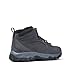 Columbia Men's Newton Ridge Plus Ii Suede Waterproof Hiking Shoe