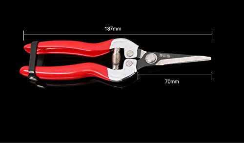 Thosdt Micro-Tip Pruning Snip,Florist Multi-Tasking Garden Scissors, Small Hand Pruner for Arranging Flowers, Trimming Plants & Harvesting Hydroponic Herbs - Thumbnail 3