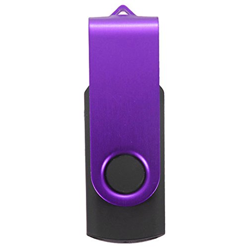 CreazyÂ® 1GB Swivel USB 2.0 Metal Flash Memory Stick Storage Thumb U Disk (Purple)