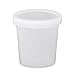 ePackageSupply 16 oz. (Pint) Containers with Lids | Food Storage Containers with Lids | Plastic Food Containers | Food Prep | Meal Prep | Freezer Containers | Food Containers (Translucent, 10)