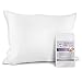 Mulberry Park 100% Silk Pillowcase - 19 Momme, Grade 6A Mulberry Silk - Deep Envelope Closure - White/Queen (20'' x 30'')