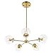 Light Society Grammercy 5-Light Chandelier Pendant, Brushed Brass with Clear Glass Globes, Classic Mid Century Modern Lighting Fixture (LS-C228-BRS-CLR)