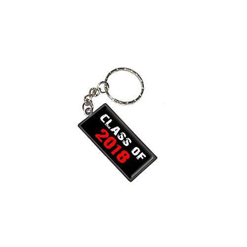 Graphics and More Class of 2018 Keychain Key Chain Ring