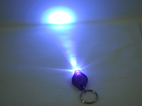 LUMAND 10 Pack Uv Mini LED Flashlight Keychain Torch Light Lamp Id Currency Passports Detector (10Pcs, Purple) - Thumbnail 2