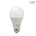 Bomcosy 12W A19 E26 LED Bulbs, 100W Incandescent Bulb Equivalent,Not Dimmable,1050 Luminous,6000K Daylight-1 Pack