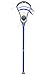 WARRIOR 2017 Evo Mini Stick (Royal)