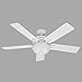 Hunter Fan Company, 53122, 52 inch Beachcomber White Indoor / Outdoor Ceiling Fan with LED Light Kit and Pull Chain