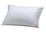 Aller-Ease Hot Water Washable Allergy Pillow, Queen, Extra Firm